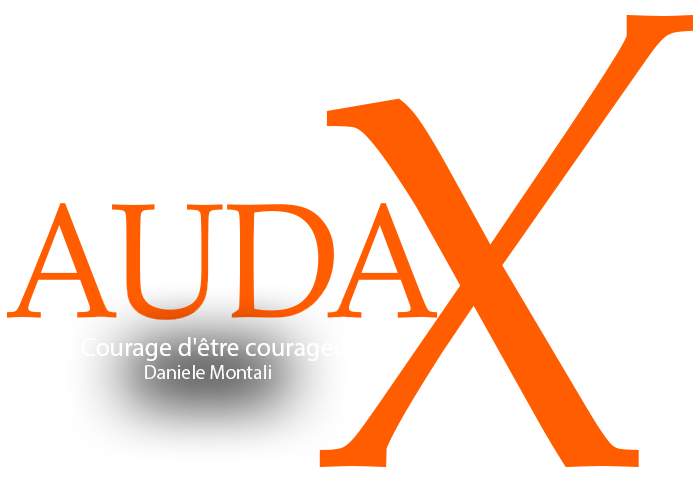 logo-audax-st.png